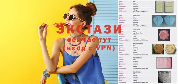 хмурый Пересвет