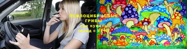 а пвп мука Алексеевка