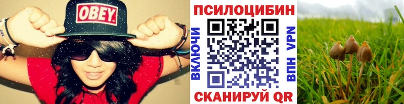 где продают наркотики  Арамиль  мориарти клад  Галлюциногенные грибы Magic Shrooms 